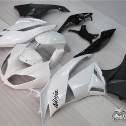 Kawasaki Ninja ZX-6R Black & Silver Motorcycle Fairings (2009-2012)