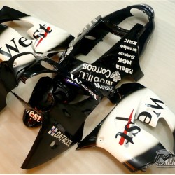 Kawasaki Ninja ZX9R Black & White Motorcycle fairings(2000-2001)