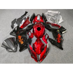Customized Kawasaki Ninja 400  Motorcycle fairings(2017-2023)