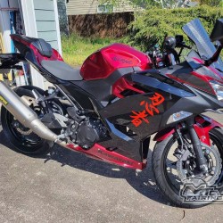 Customized Kawasaki Ninja 400  Motorcycle fairings(2017-2022)
