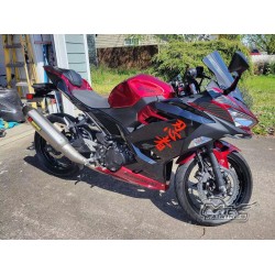 Customized Kawasaki Ninja 400  Motorcycle fairings(2017-2022)