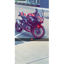 Kawasaki Ninja 400 Candy Red Motorcycle fairings(2017-2022)