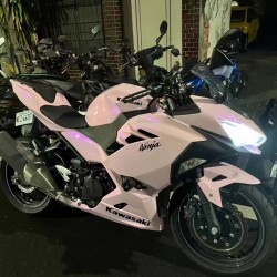 Kawasaki Ninja 400 chameleon (Purple/White) Motorcycle fairings (2017-2022)