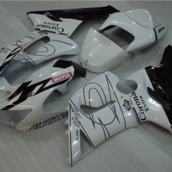 Kawasaki Ninja ZX-6R White & Glossy Black Motorcyle Fairings (2005-2006)